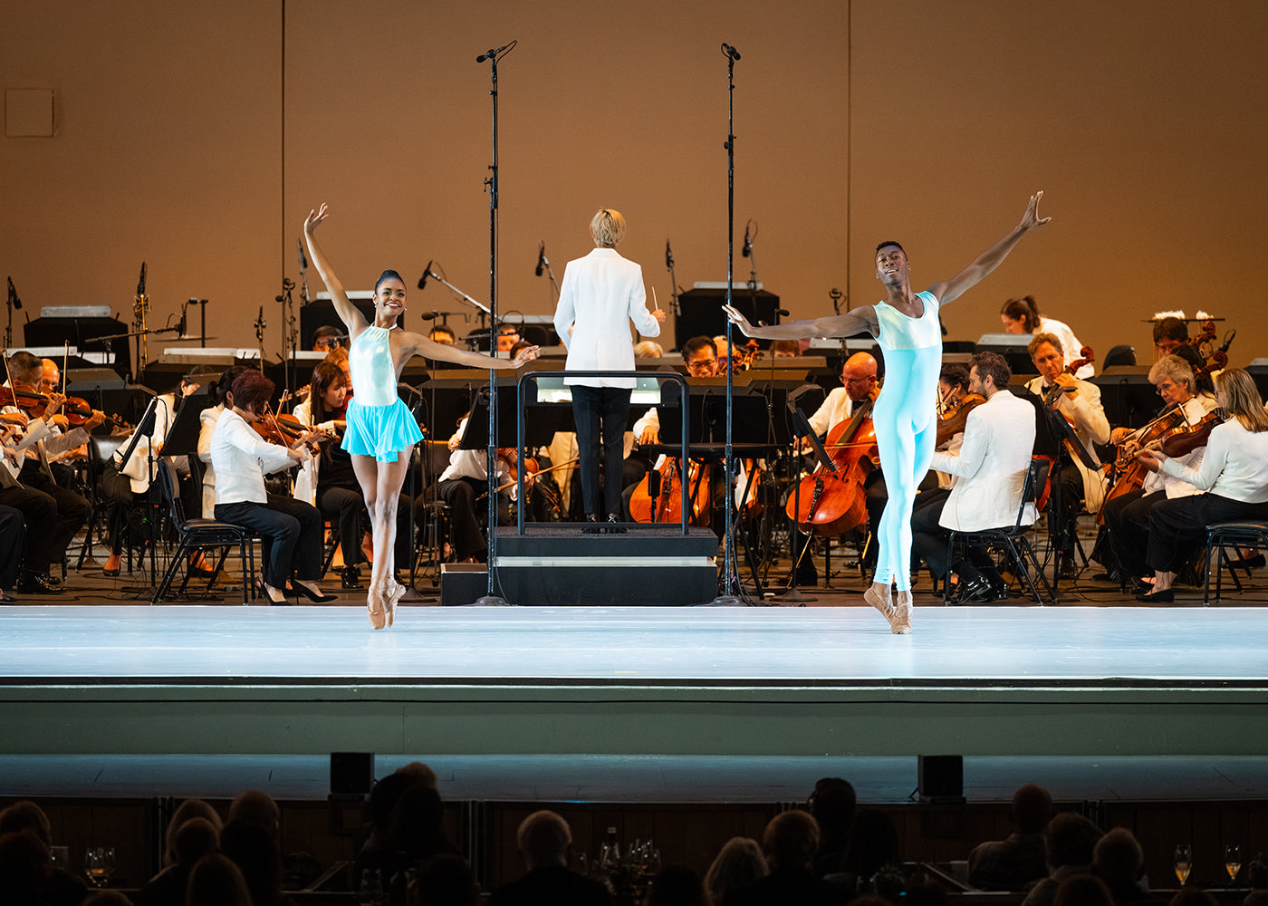 Beauty and Bravura under the Stars