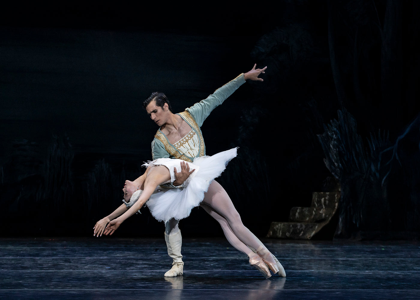 A Grand Swan Lake – Fjord Review