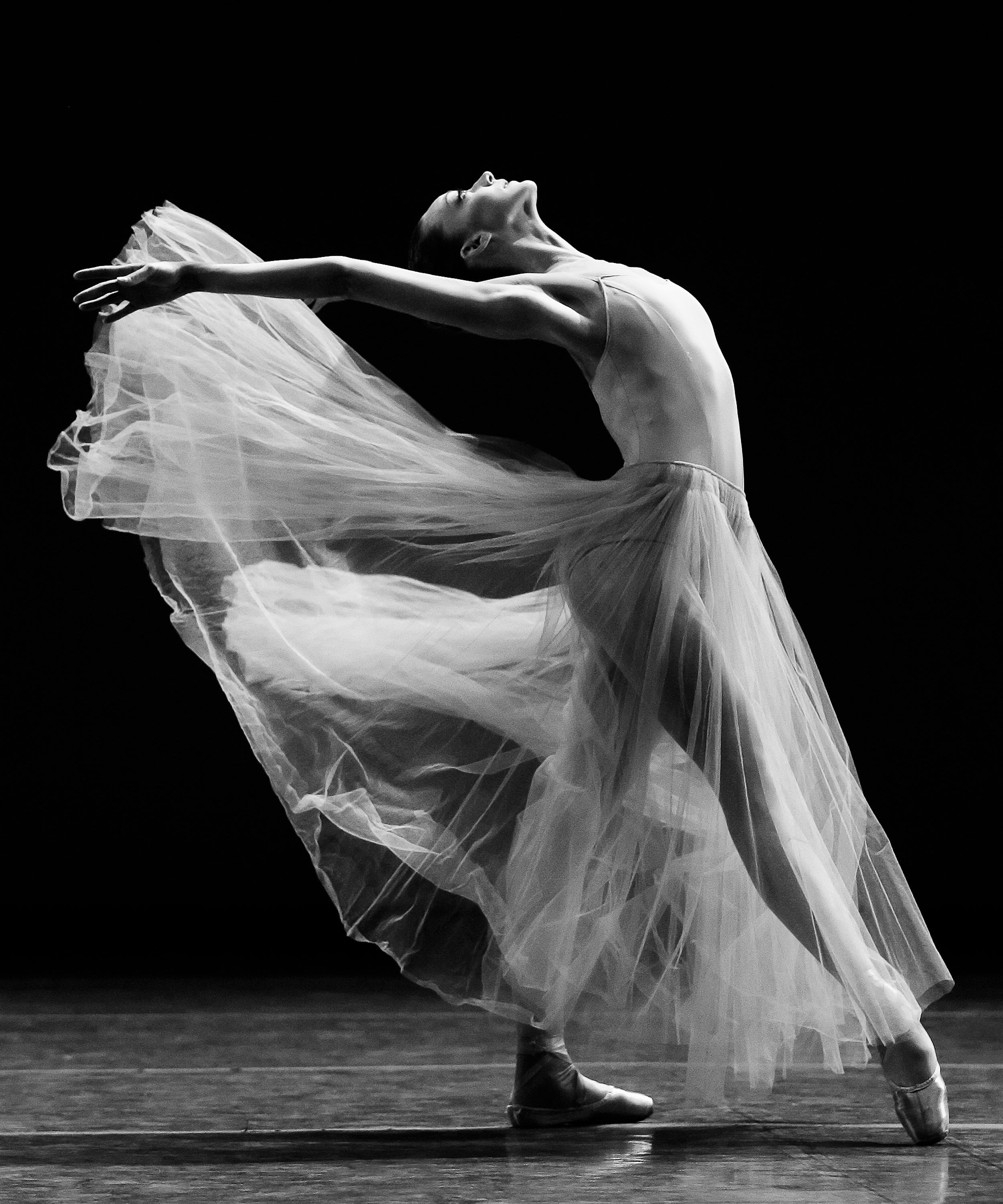 Catching the Moment with Paul Kolnik