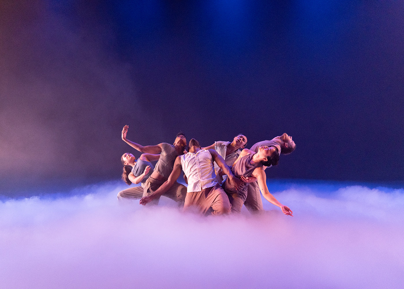 Into the Wilde – Fjord Review