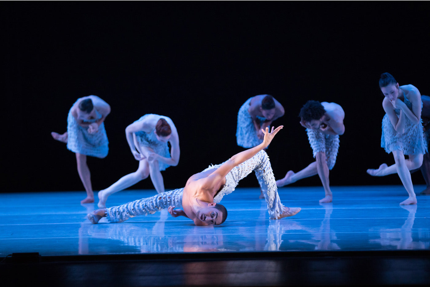 On Common Ground Fjord Review