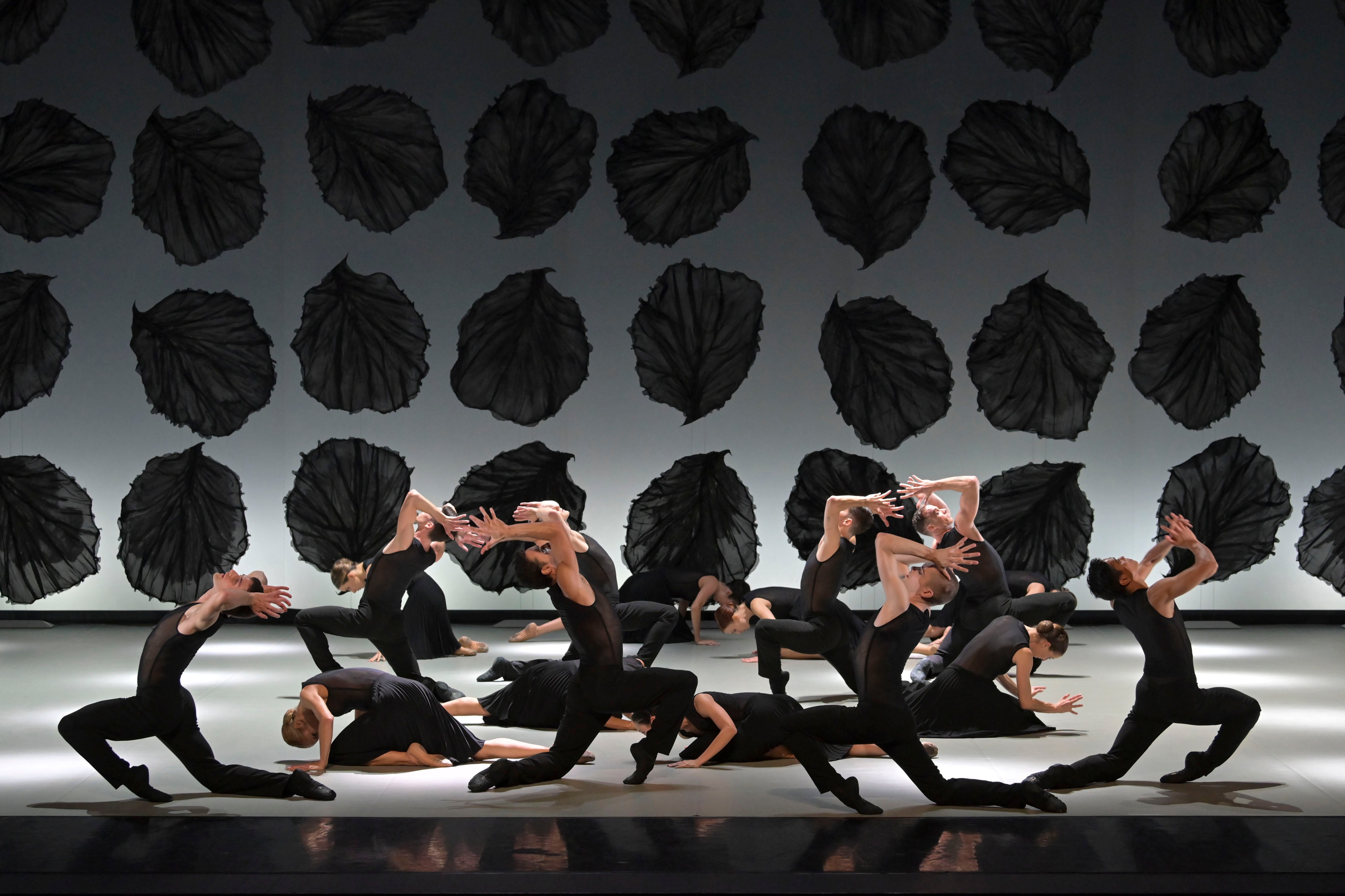 Changing of the Seasons