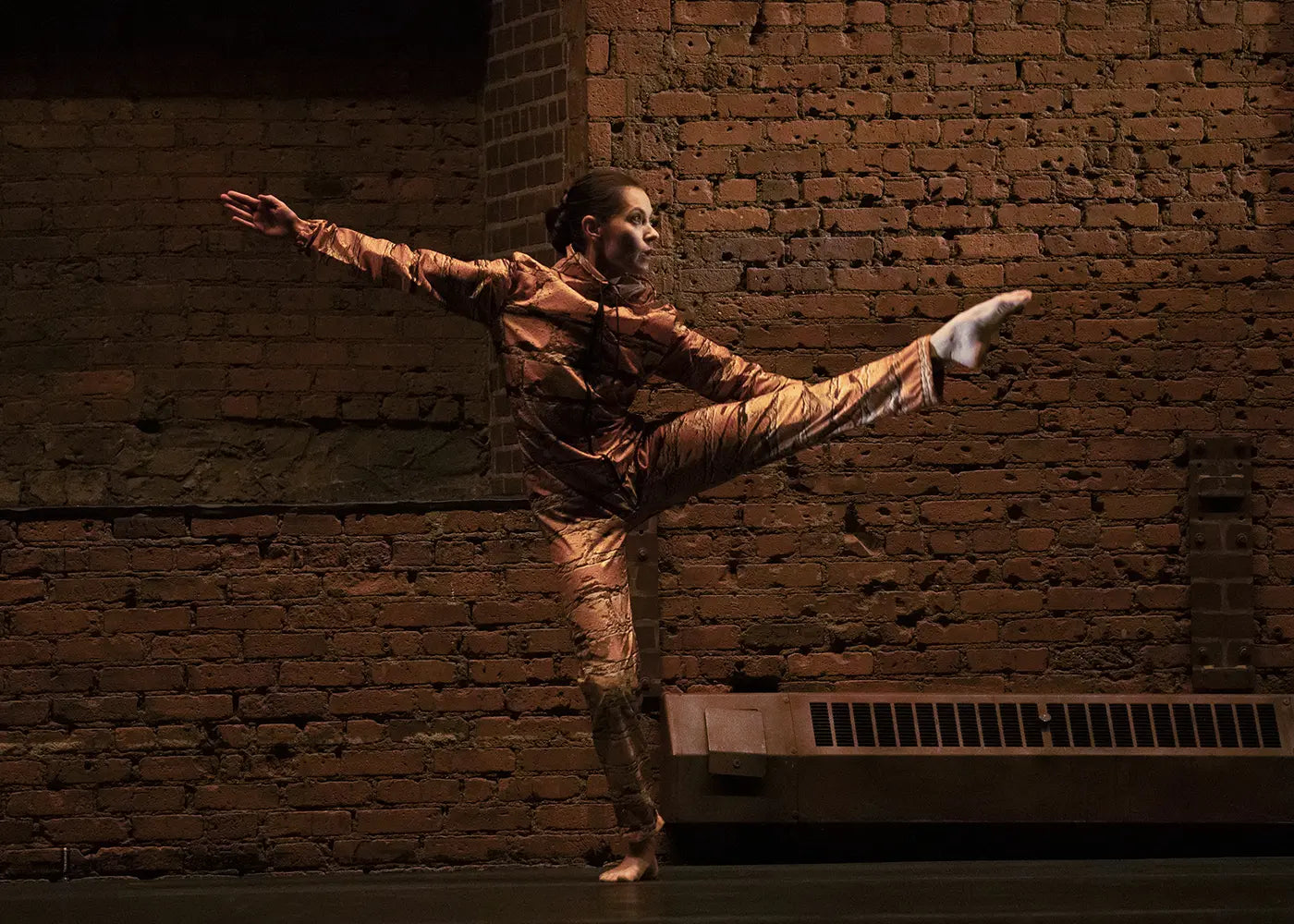 Tanowitz at the Joyce