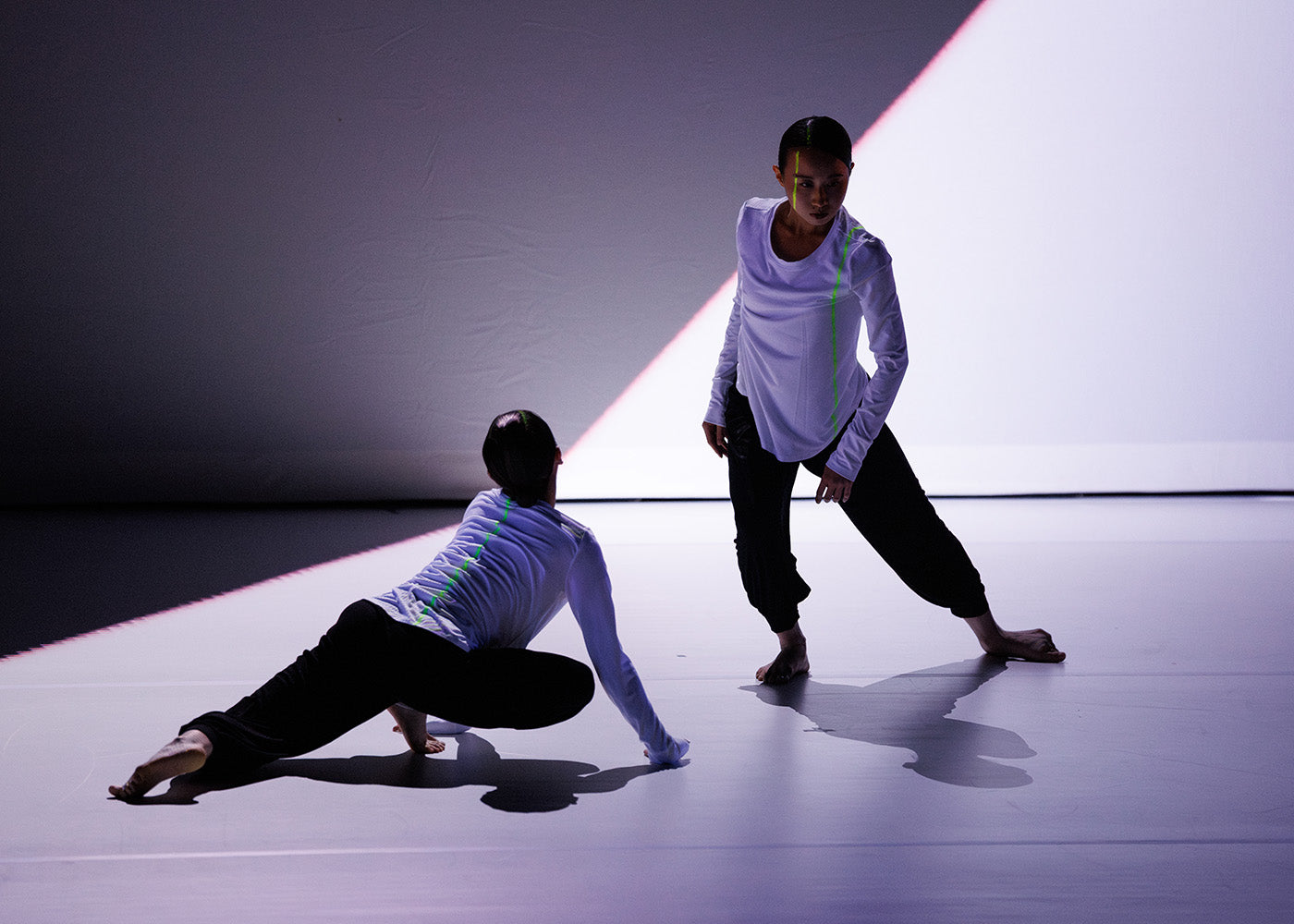 Inside the Somatic Field