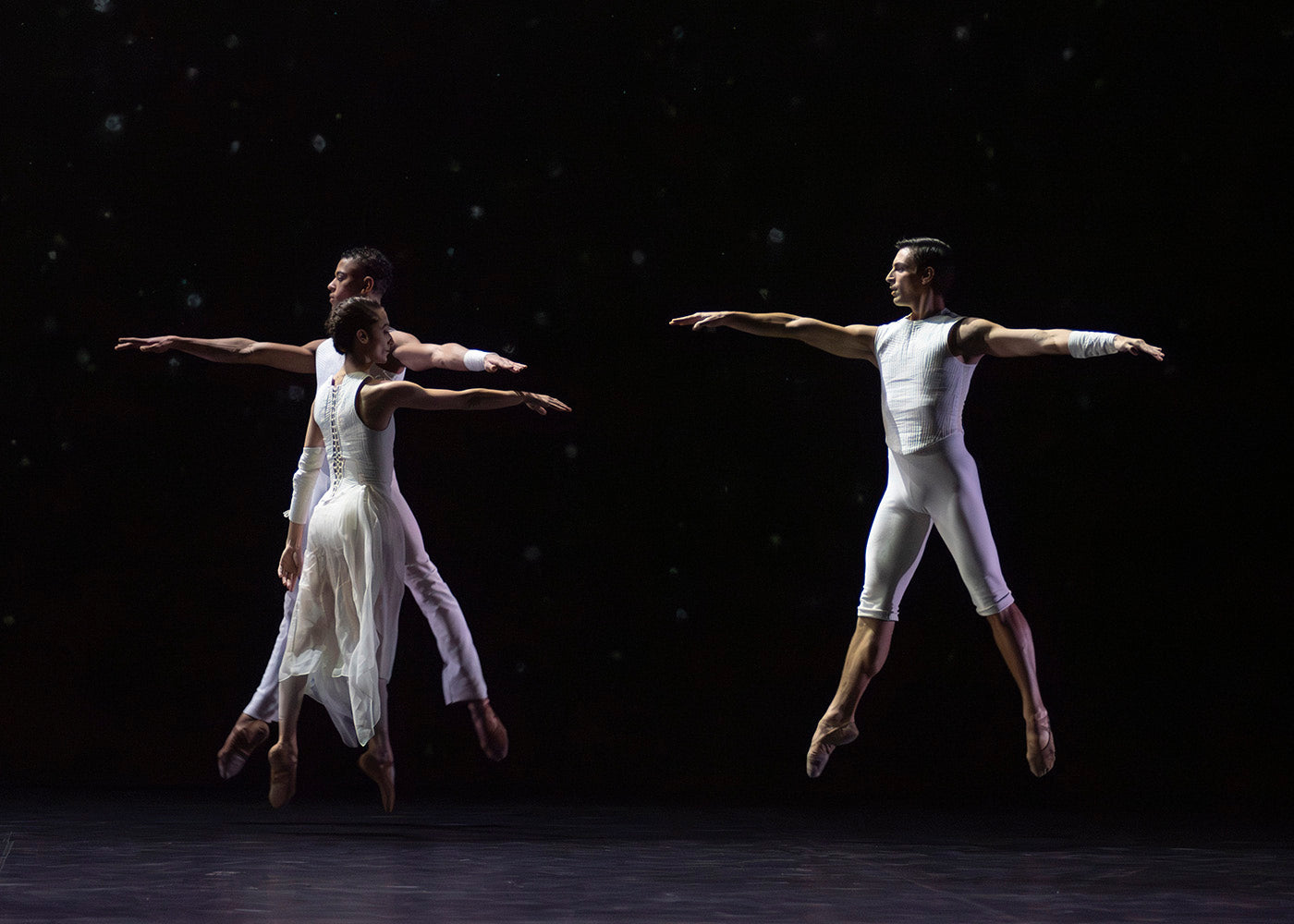 In Contrasting Light