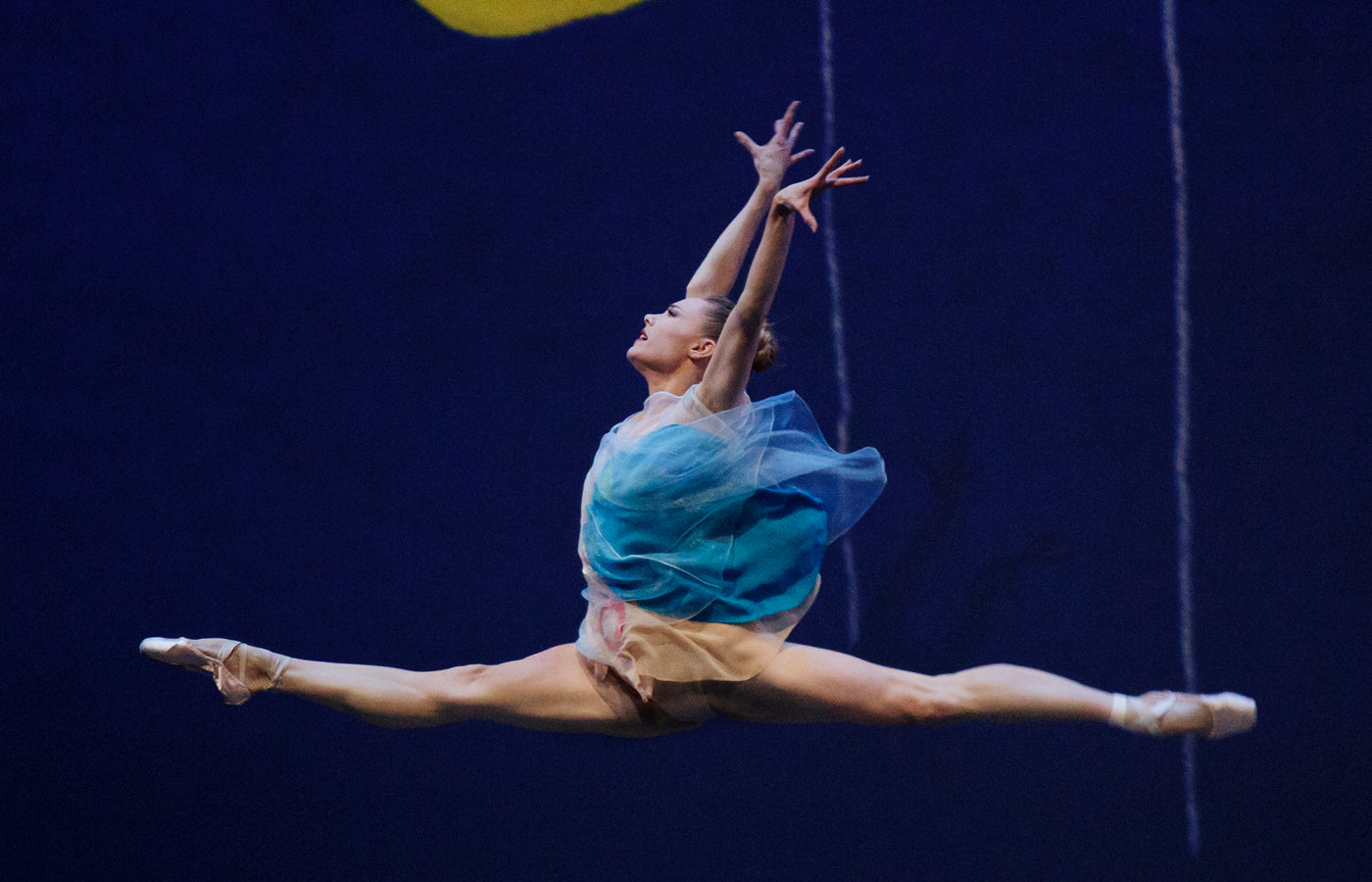 Sara Mearns