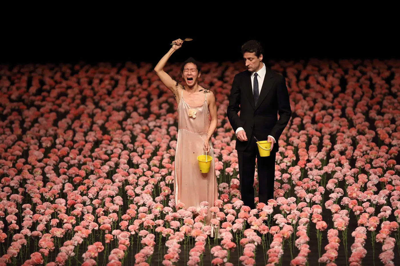 Pina Bausch Nelken