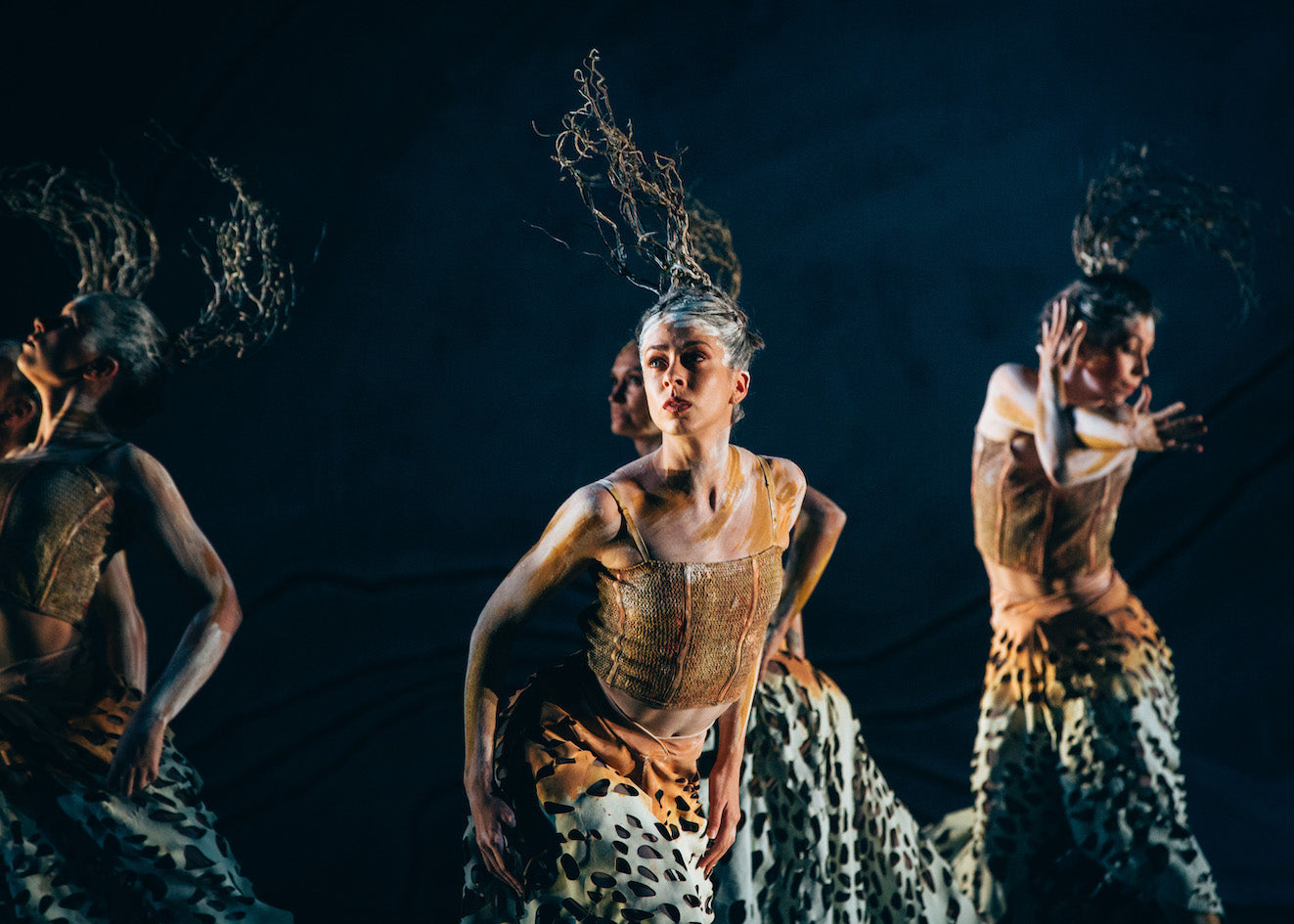 Frances Rings A Living Future – Fjord Review