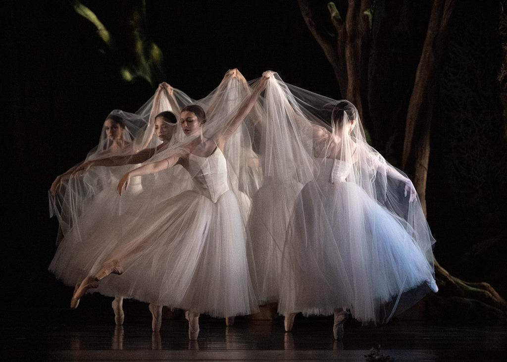 Artists of Houston Ballet in Stanton Welch’s “Giselle.” Photograph by Alana Campbell, courtesy of Houston Ballet.