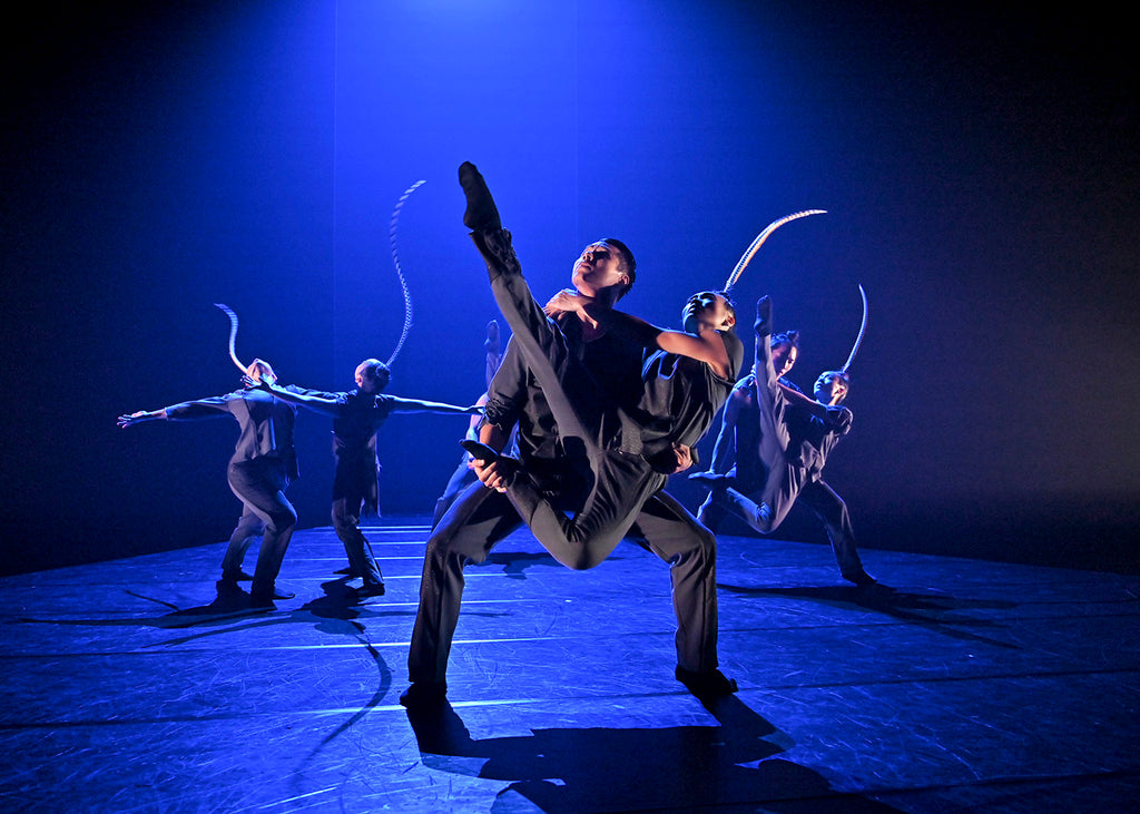 Hung Dance in “Birdy” by Lai Hung-Chung. Photograph by Liu,Ren-haur