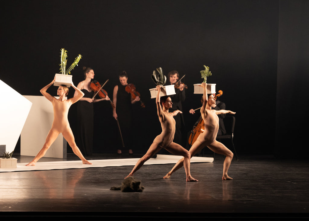 Danseurs du Boston Ballet in 1 Alexander Ekmans's “Cacti.” Photograph by Rosalie O'Connor 