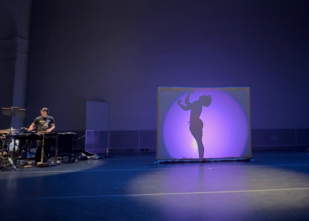 “Parallel Play” by Myles Thatcher and Andy Meyerson. Image courtesy of the artists